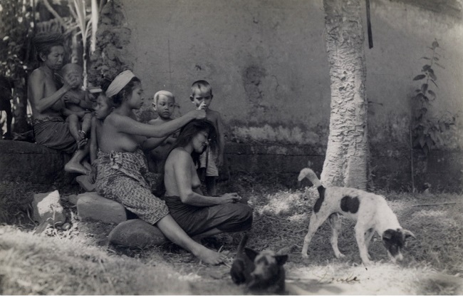 The island for the dogs